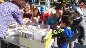 Dan zdravja 2017 (23)